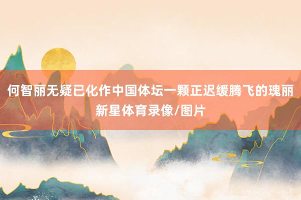 何智丽无疑已化作中国体坛一颗正迟缓腾飞的瑰丽新星体育录像/图片