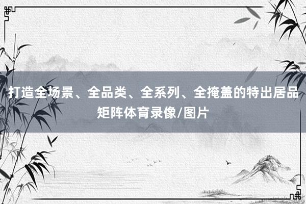 打造全场景、全品类、全系列、全掩盖的特出居品矩阵体育录像/图片