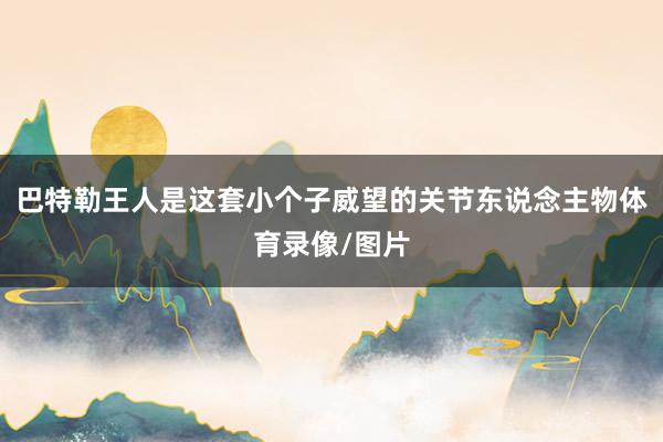 巴特勒王人是这套小个子威望的关节东说念主物体育录像/图片