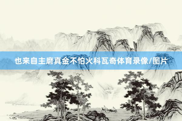也来自主磨真金不怕火科瓦奇体育录像/图片