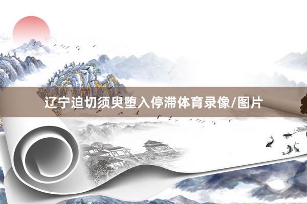 辽宁迫切须臾堕入停滞体育录像/图片